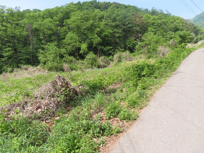 기호(5,6) 및 북측 도로