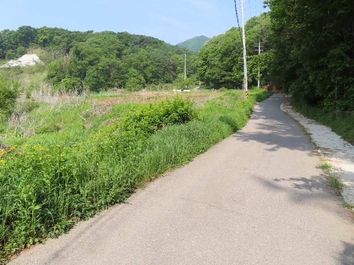 기호(6) 및 북측 도로