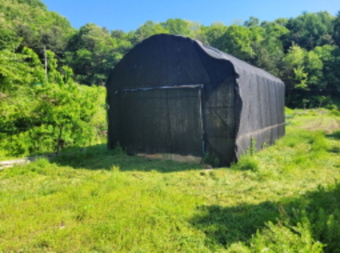 목록4 제시외 비닐하우스