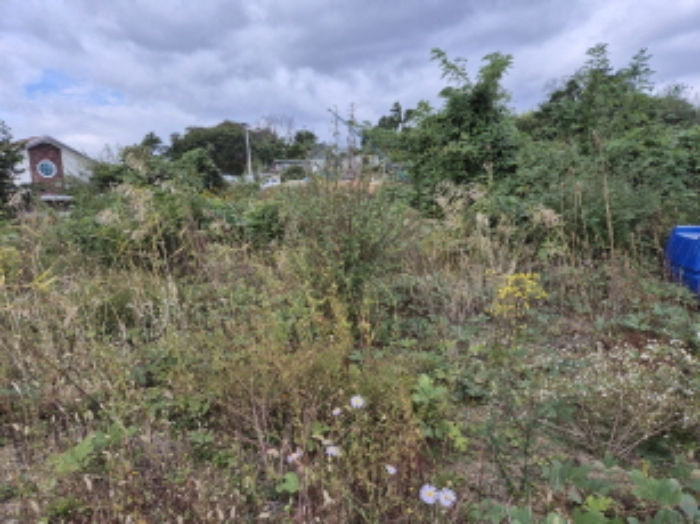 부동산의표시1.