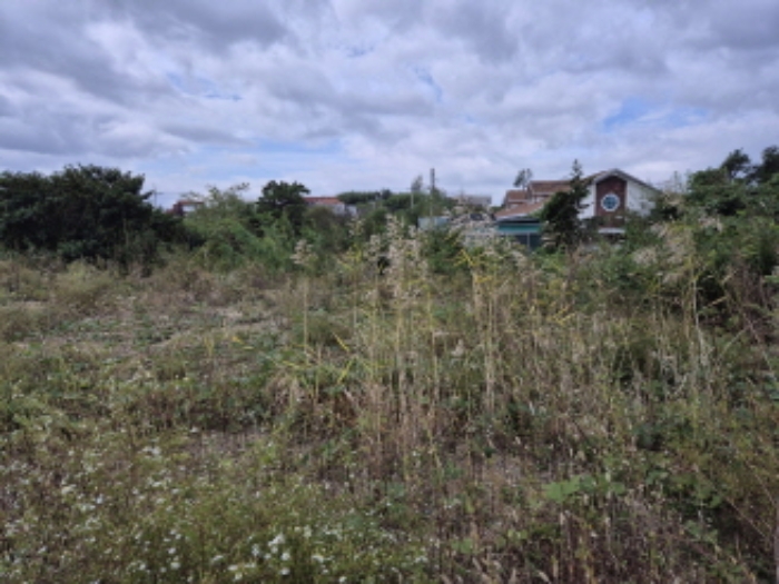 부동산의표시1.