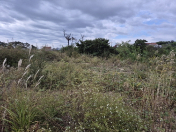 부동산의표시2.