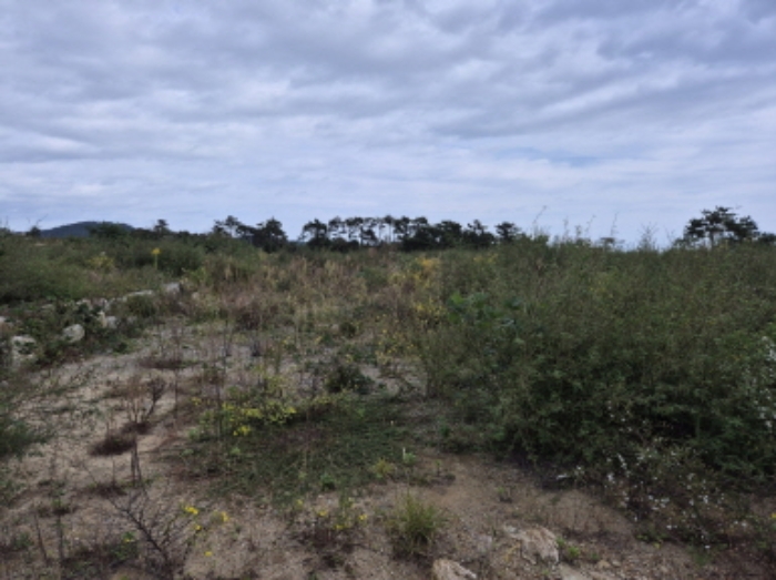 부동산의표시3.