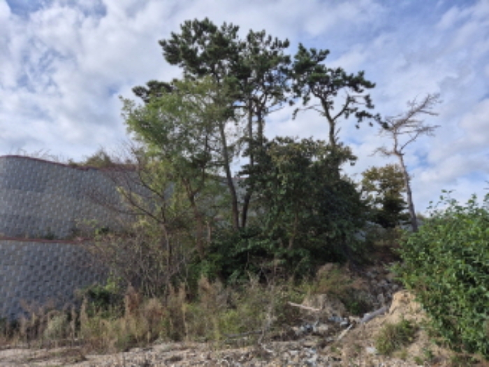 부동산의표시4.