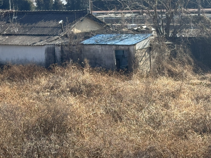 본건 지상 제시외건물 및 타인점유부분