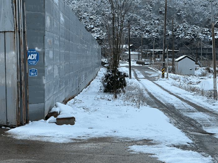 일련번호 1) 지상 식재된 수목(이팝나무 등)