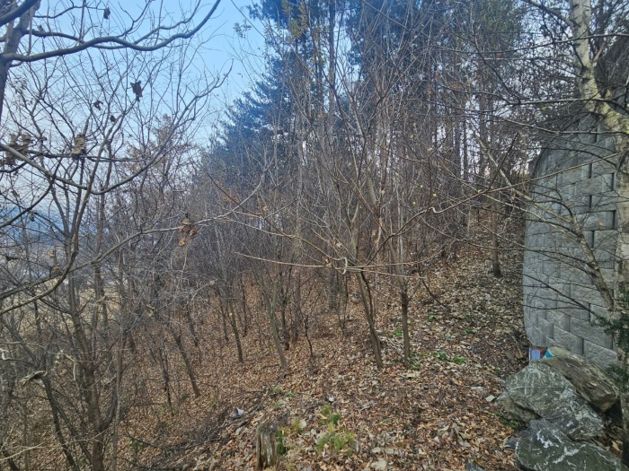 제외지부분 전경