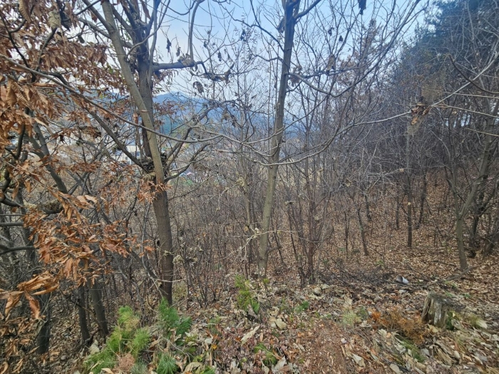 제외지부분 전경