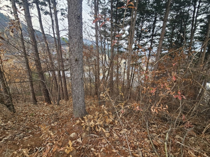 제외지부분 전경