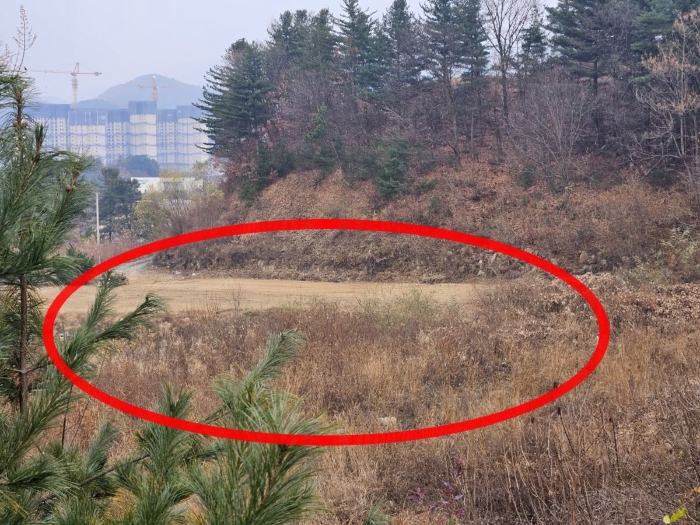 허가지부분 전경