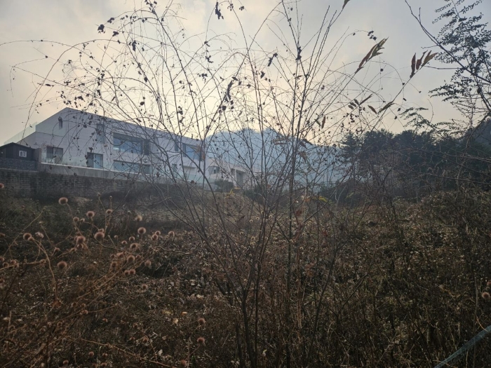 허가지부분 전경