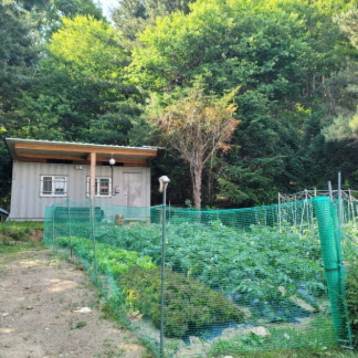 목록4 토지 전경(제시외 컨테이너 1동이 소재함)