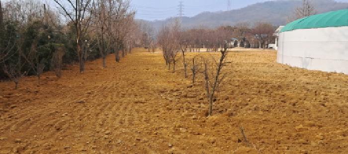 목록3의 `전` 전경(1)