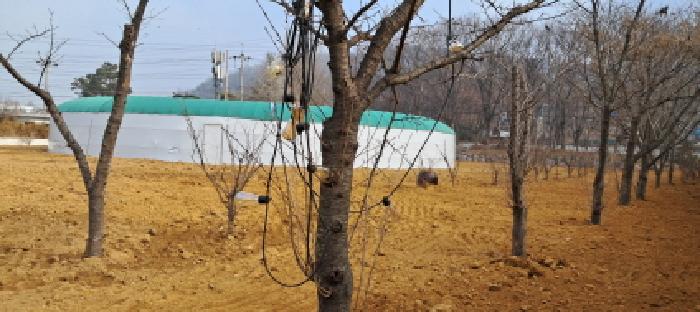 목록3의 `전` 전경(2)