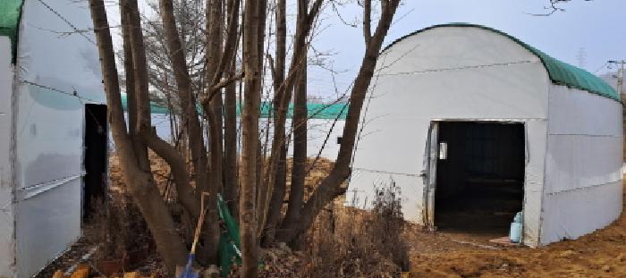 목록7의 전경(4) 제시외 창고 근접 촬영