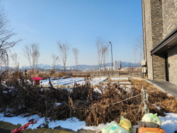 제시목록1 토지 일부가 건물 옆 텃밭으로 사용중인 모습 