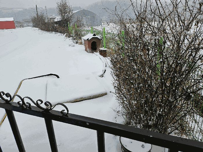 본 토지 경계 수목 주위환경