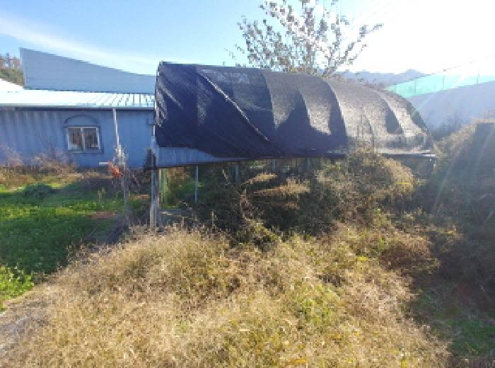 제시외 (ㅌ) 파이프조 비닐하우스 모습2