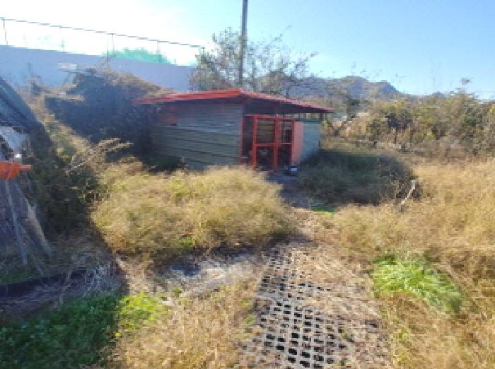 제시외 (ㅍ) 계사 모습1