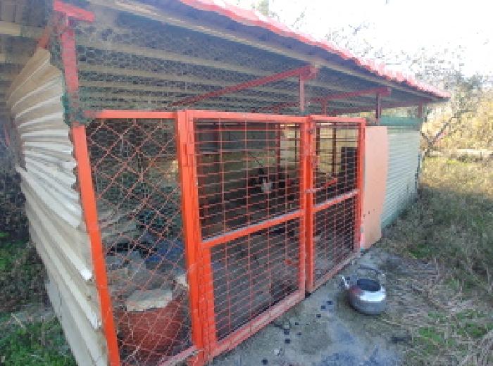 제시외 (ㅍ) 계사 모습2