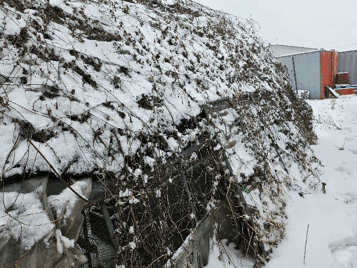 제시외 ㉫ 주위환경