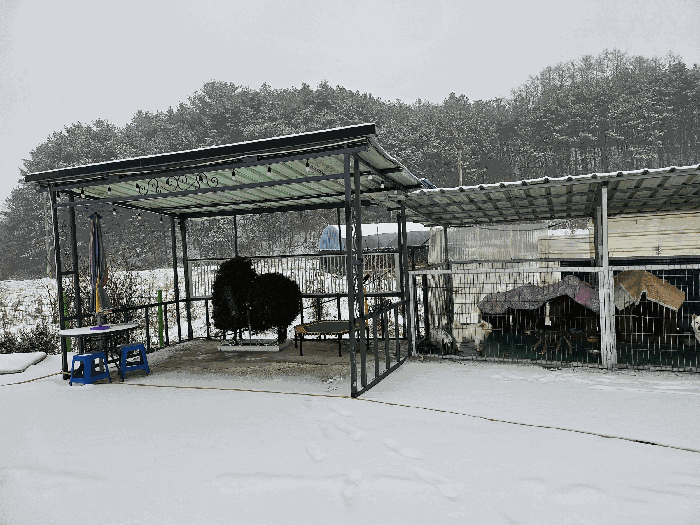 제시외 ㉪ 주위환경