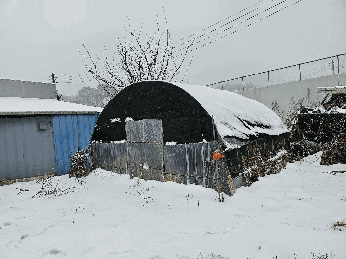 제시외 ㉫ 북동측 인근에서 촬영
