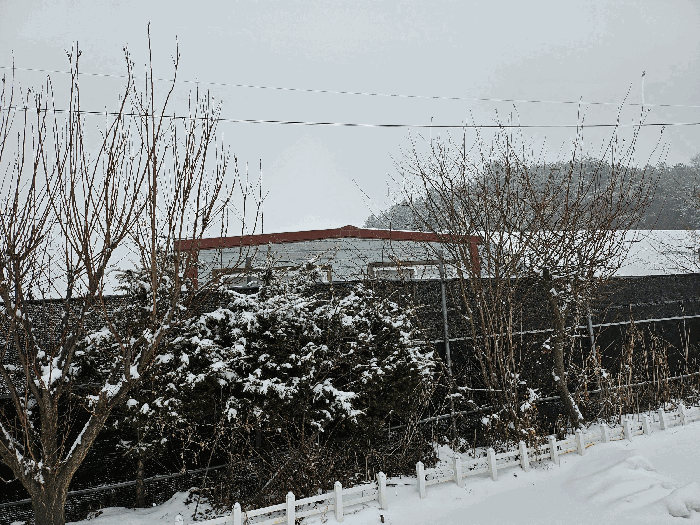 본 토지 경계 수목 주위환경