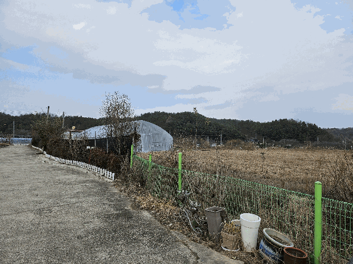 본건 기호(1)토지 동측 경계 주위환경