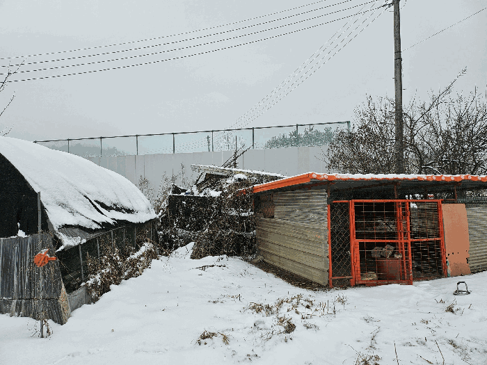제시외 ㉫ ㉬주위환경