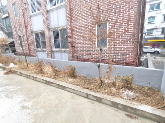 화단 및 제시외 수목 모습