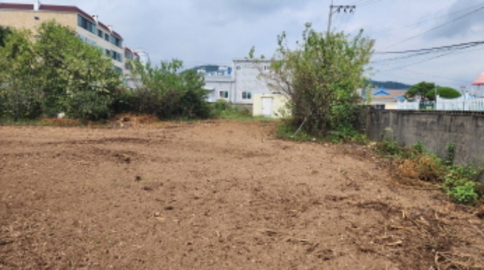 제시외 감나무 등 과수목 10여 그루