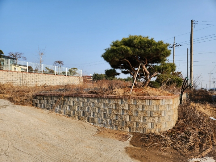 [기호(3) 전경]
