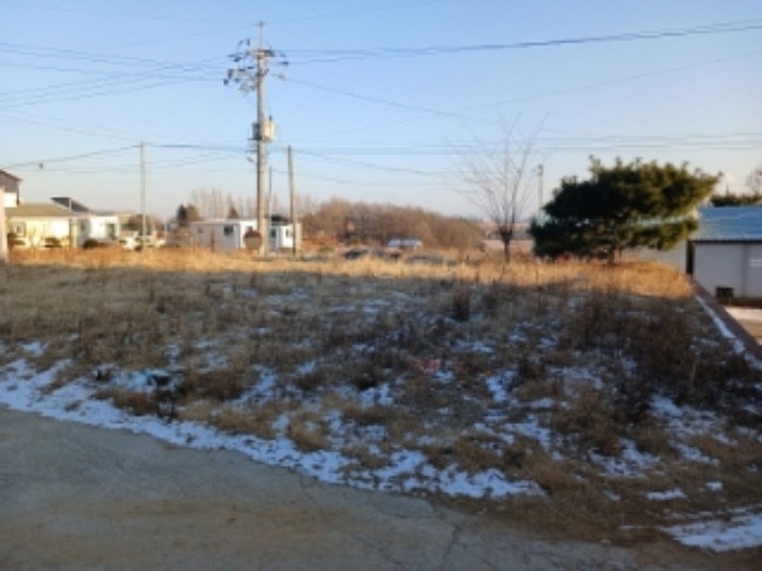 목록4 전경(잡풀이 자라고 있고, 제시외 컨터이너 1개,정원수 1그루)
