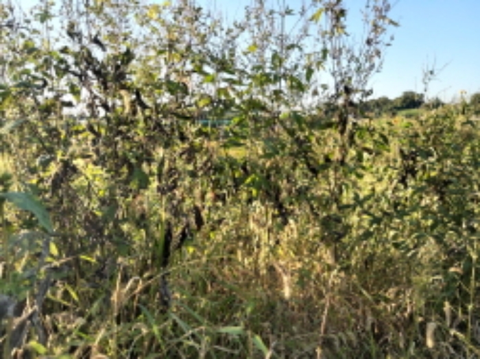 * 본건 목적물 5. 전경