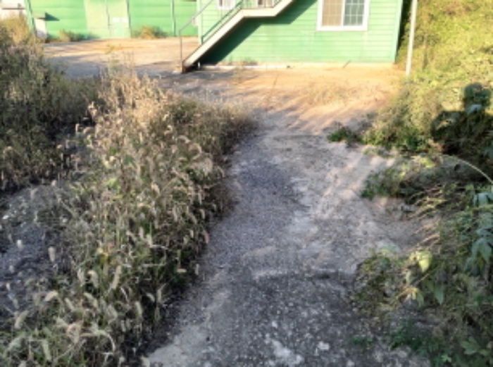 * 본건 목적물 6. 전경