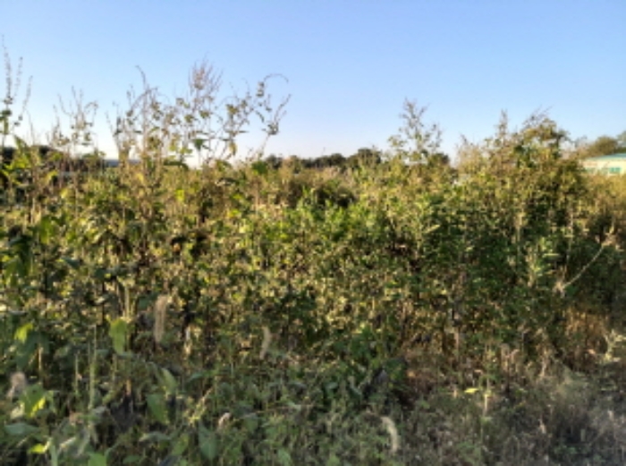 * 본건 목적물 7. 전경