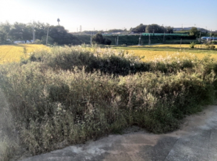 * 본건 목적물 7. 전경