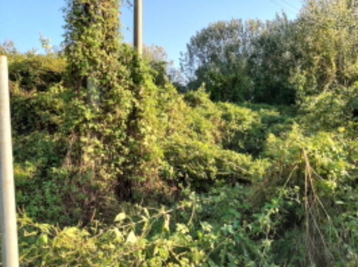 * 본건 목적물 8. 전경