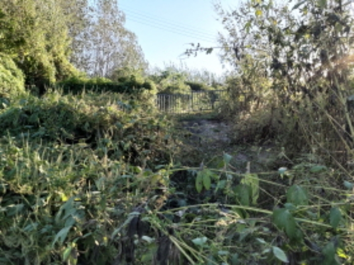 * 본건 목적물 8. 전경