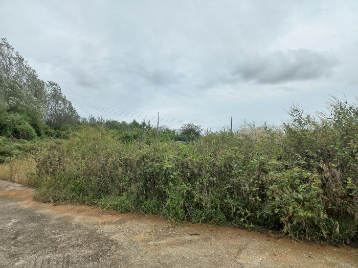 기호(3, 5) : 북동측 전경