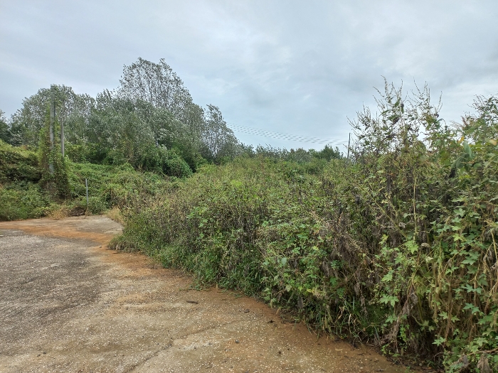 기호(3, 4, 5) : 북측 전경