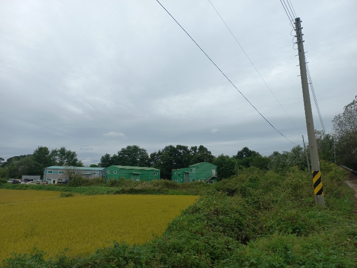 본건 남서측 근경