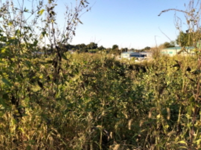 * 본건 목적물 5. 전경