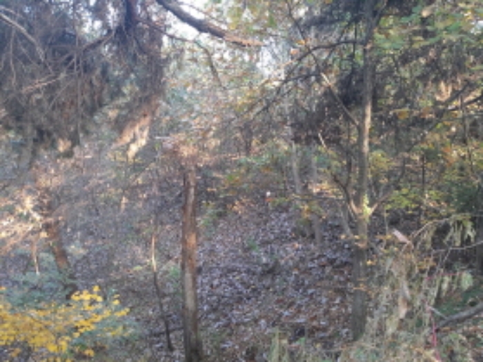 * 본건 목적물 전경