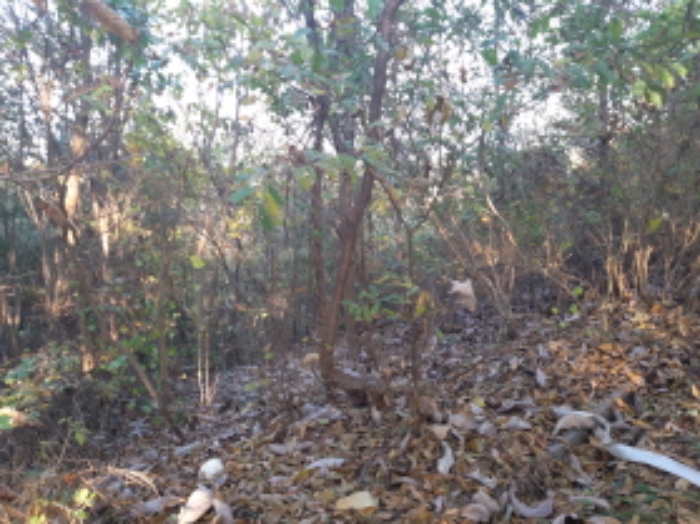 * 본건 목적물 전경