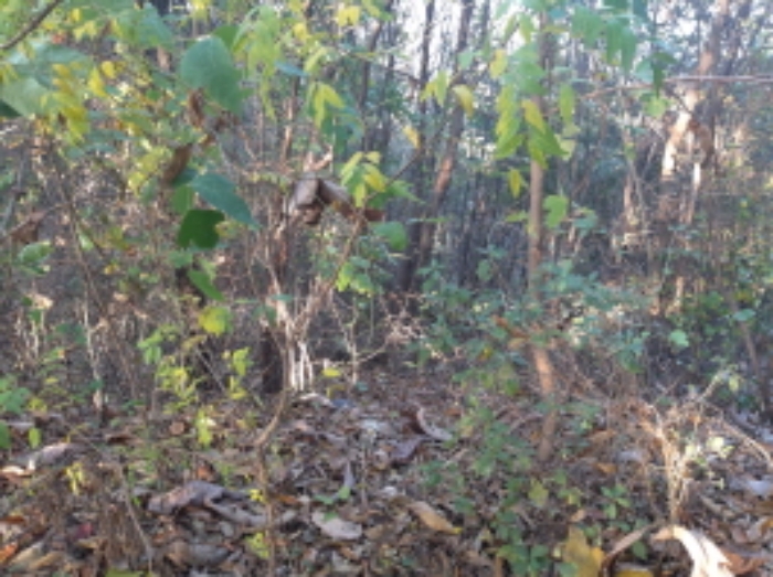 * 본건 목적물 전경