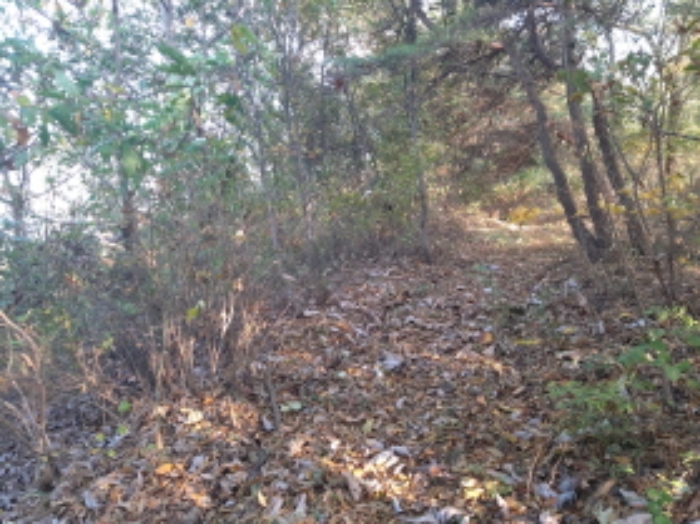 * 본건 목적물 전경