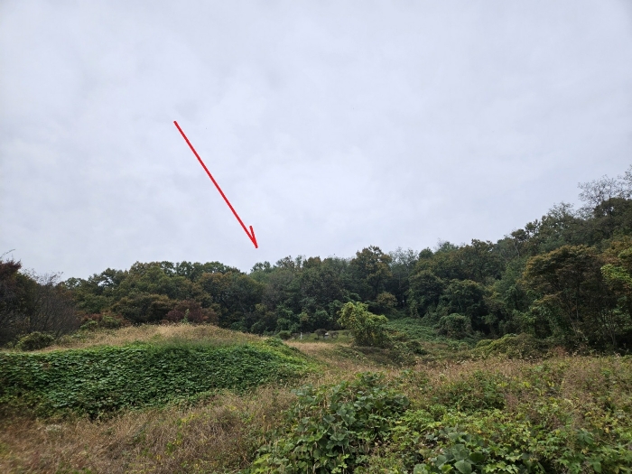 <주위환경>‘><br /><img src=