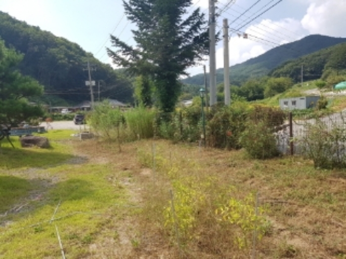 [사진 1]
